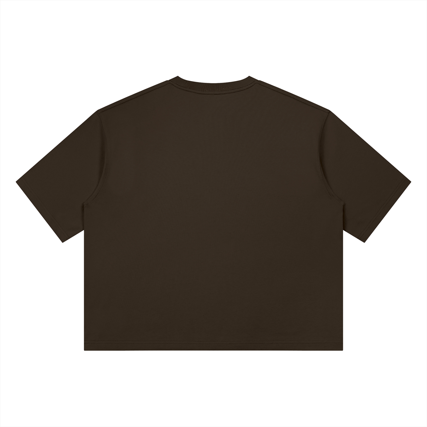 "Rooted In The Word" Unisex Heavyweight Boxy T-Shirt (Unisex)